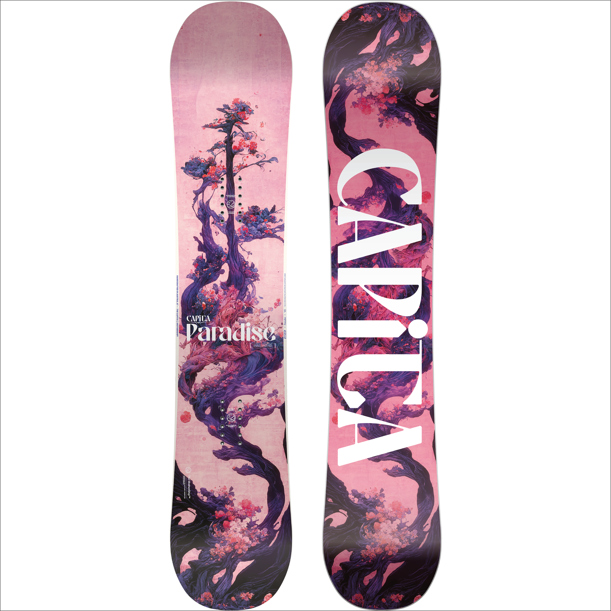 2025 Capita Paradise - Bluebird Mountain Sports