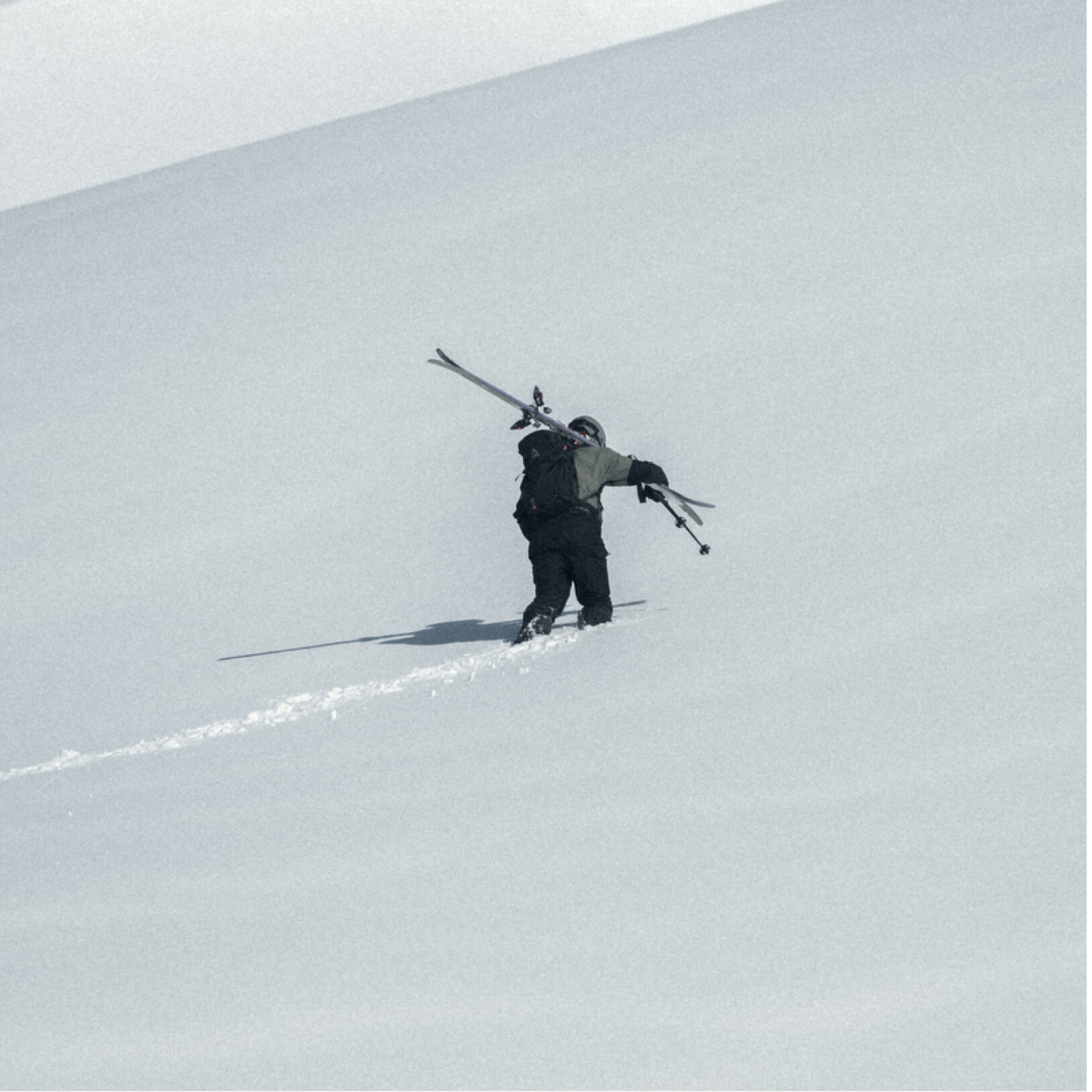 Fischer 2026 Fischer Ranger 96