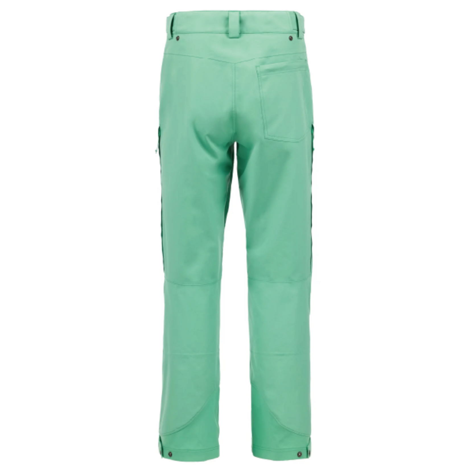 Flylow Flylow Cage Pant Gecko