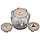 12044 \ Faucet Handle Clear Delta Style Ea