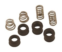 133587 \ SEAT AND SPRING KIT DELTA