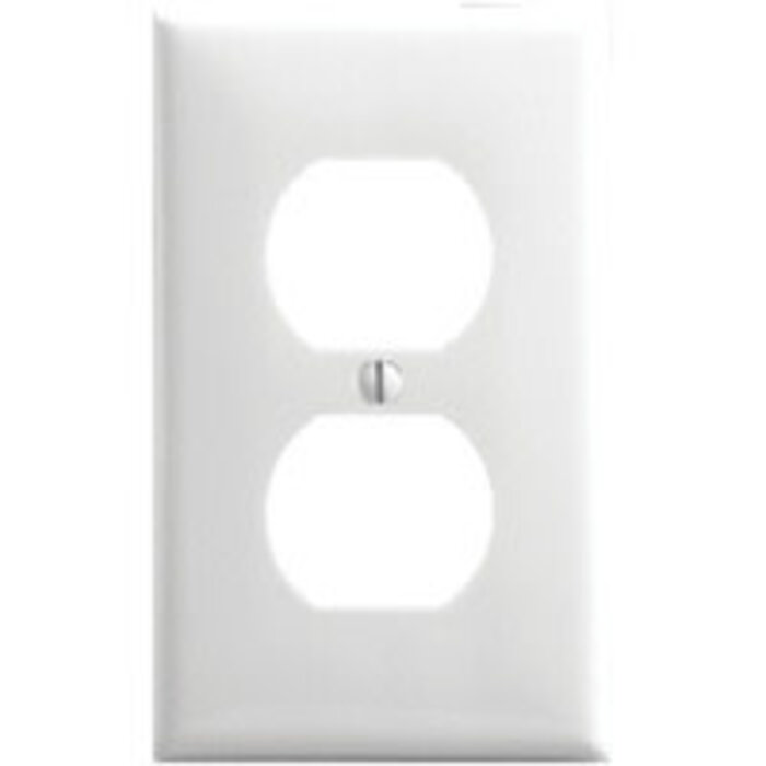 5939032 \ PLATE RECEPTACLE DUPLEX IV [ ]