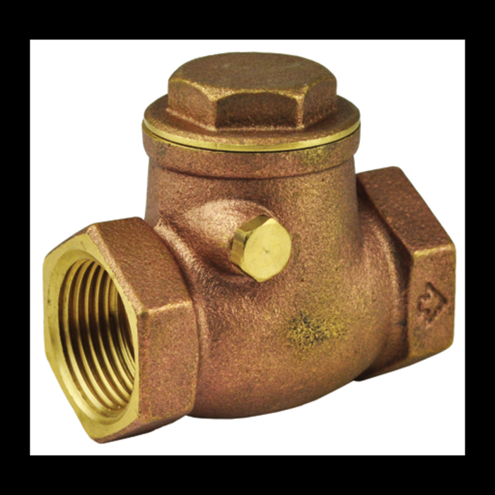 5110543 \ Check Valve Brass 3/4'' Swing style