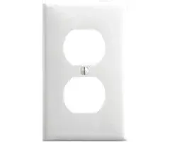5939031 \ PLATE RECEPTACLE DUPLEX White