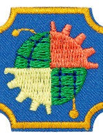 Ambassador  Think Like An Engineer Journey Badge