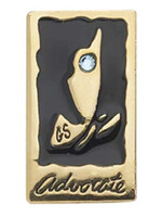 AMBASSADOR JOURNEY AWARD-ADVOCATE PIN