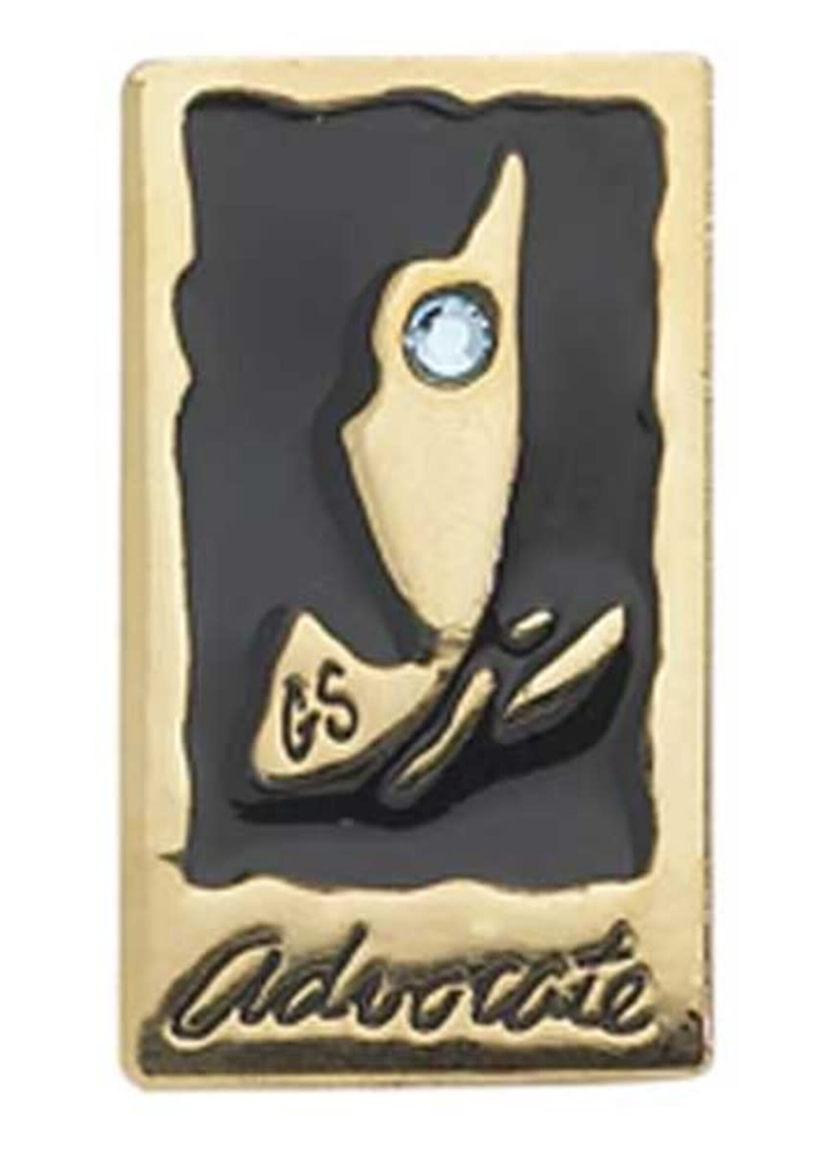 AMBASSADOR JOURNEY AWARD-ADVOCATE PIN