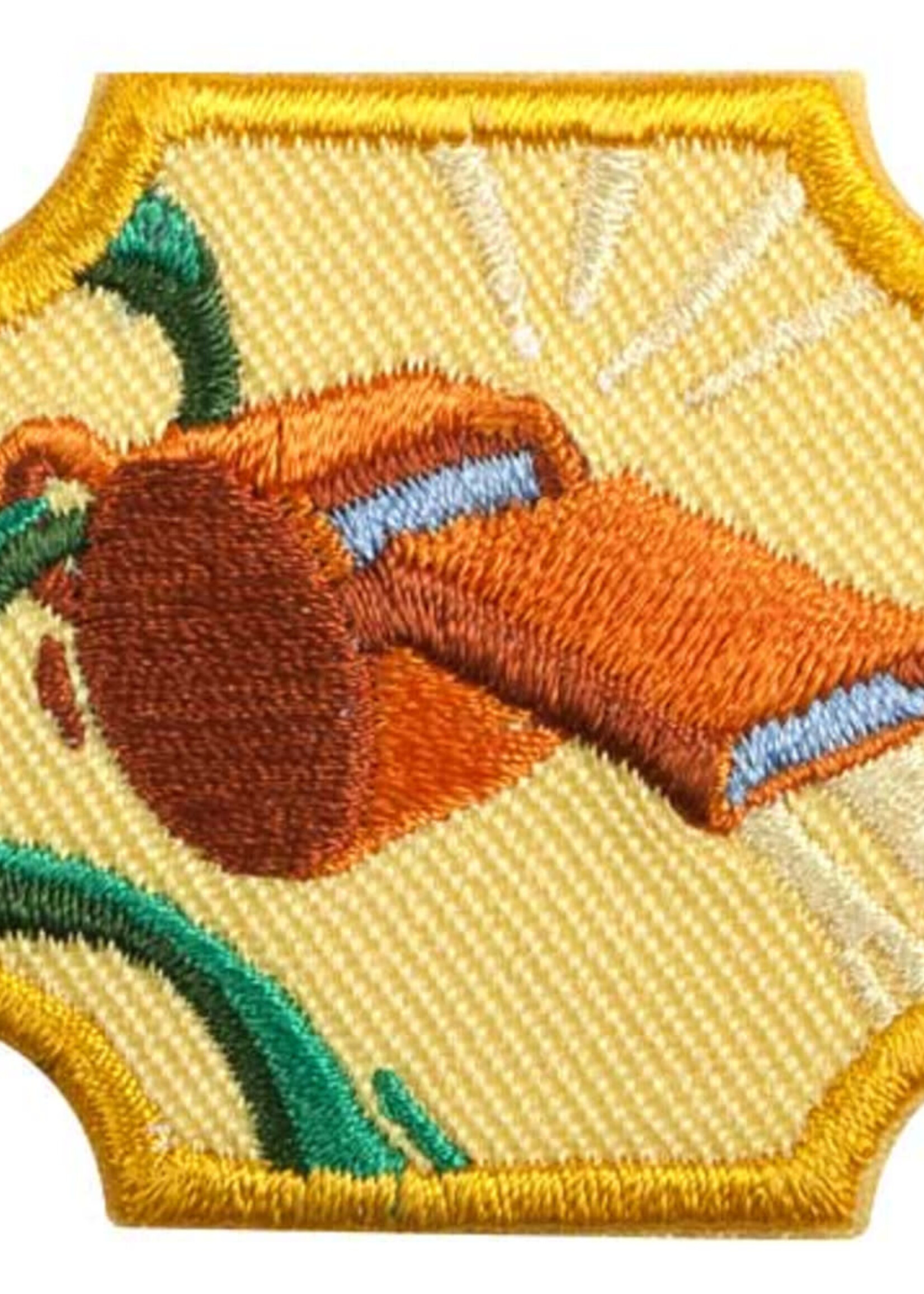 Ambassador Coaching Badge