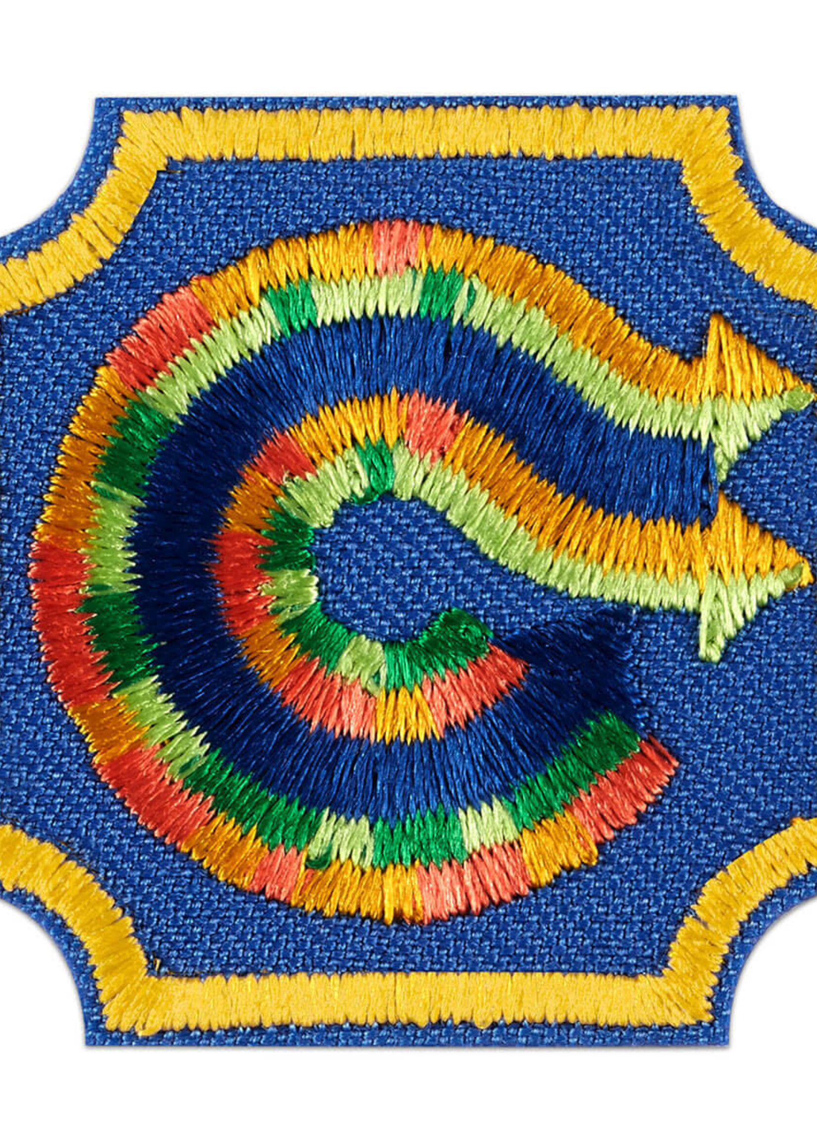 Ambassador Coding Basics 1 Badge