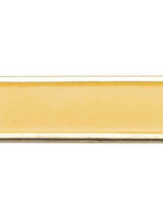 Ambassador Community Service Bar Pin