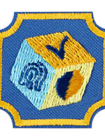 Ambassador CyberSecurity Safeguards Badge