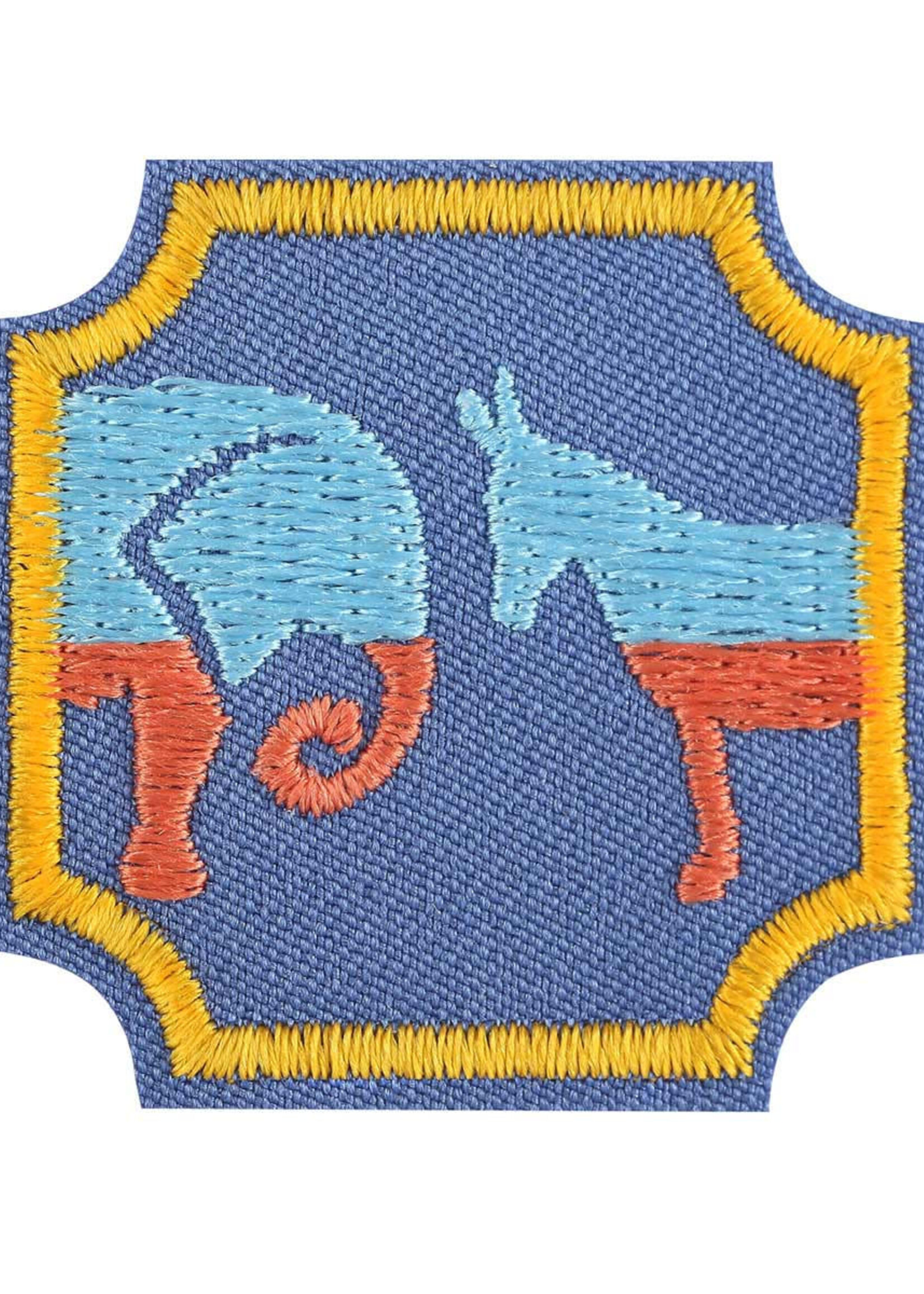 Ambassador Democracy Badge