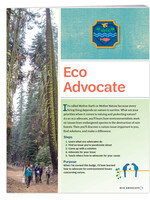 Ambassador Eco Badge Requirements