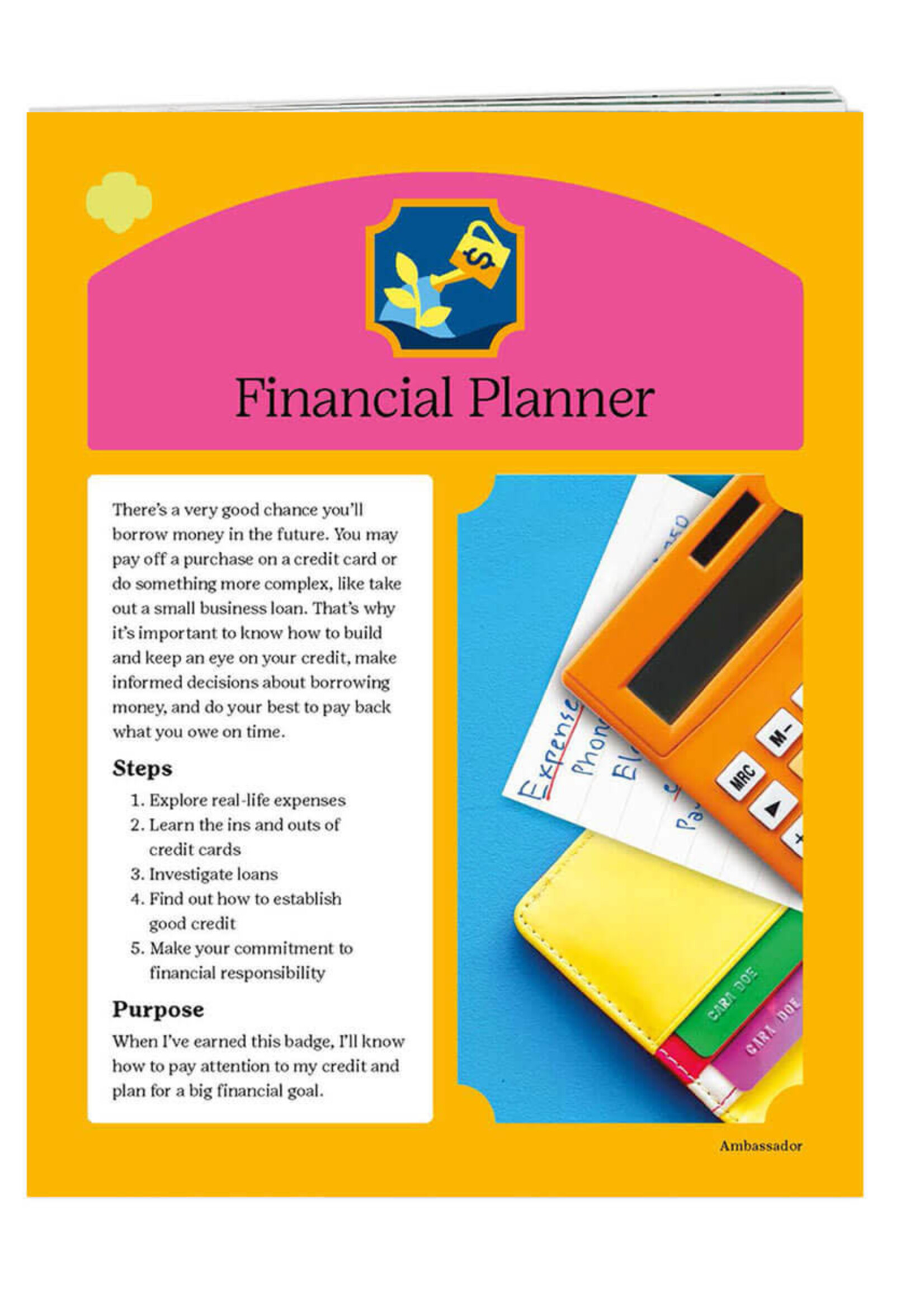 Ambassador Financial Planner Badge Requirements