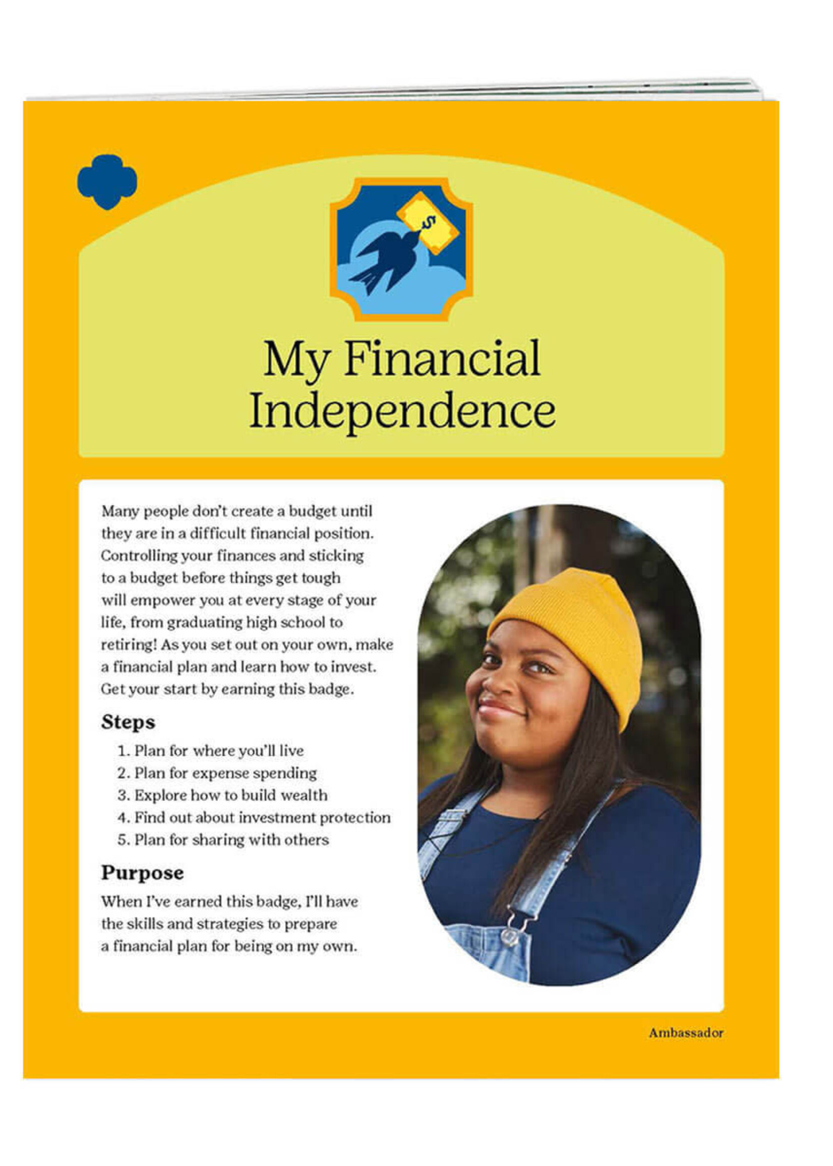 Ambassador My Financial Independence Badge Requirements