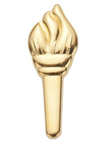 A/S LEADERSHIP AWARD -GOLD
