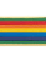 Bridge to Adult Rainbow Pin