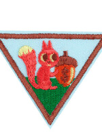 Brownie Budget Builder Badge