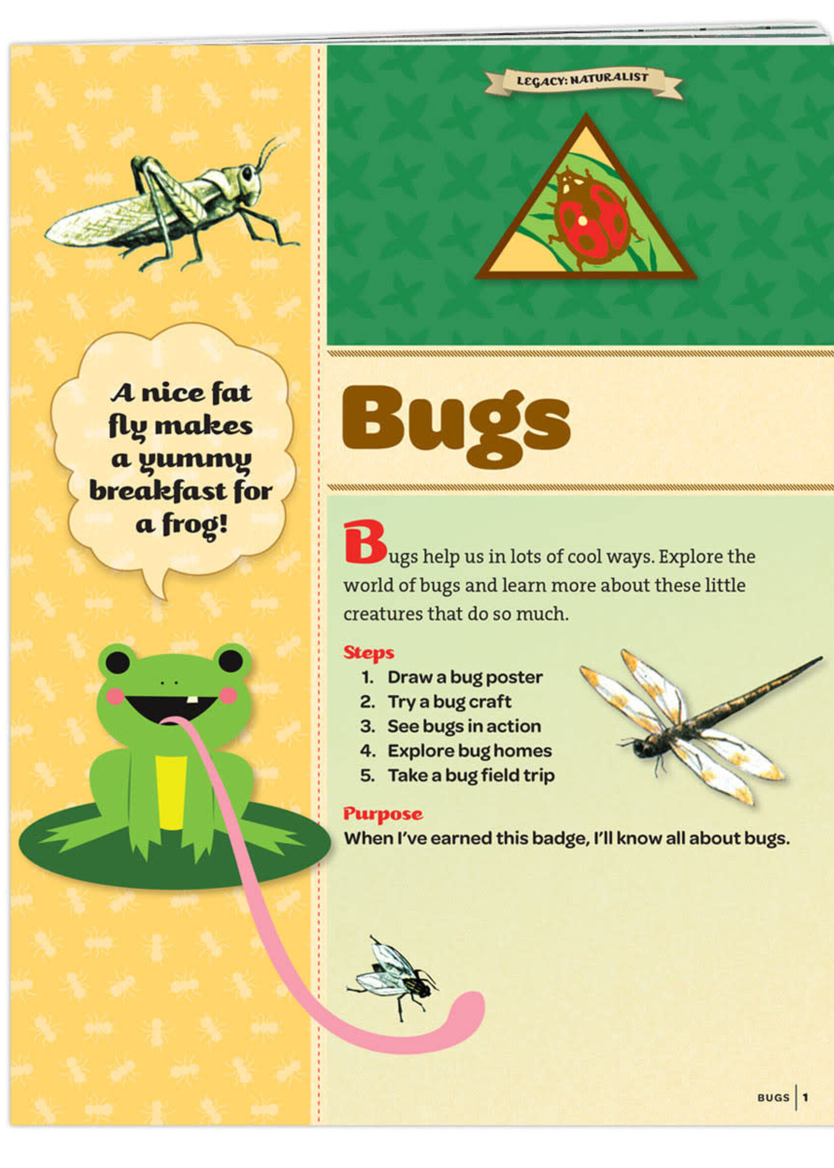 Brownie Bugs Badge Requirements