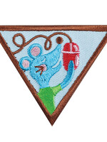 Brownie Computer Expert Badge
