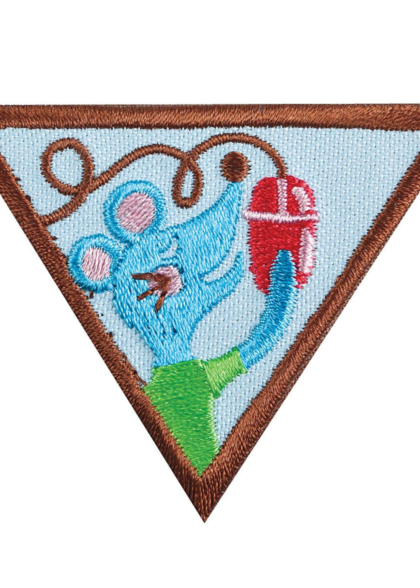 Brownie Computer Expert Badge