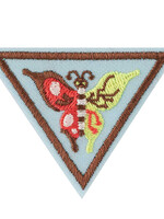 BROWNIE CREATE AND INNOVATE BADGE