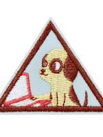 Brownie CyberSecurity Basics Badge