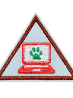 Brownie Cybersecurity Safeguards 2