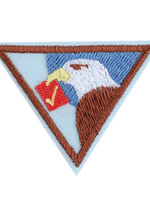 Brownie Democracy Badge