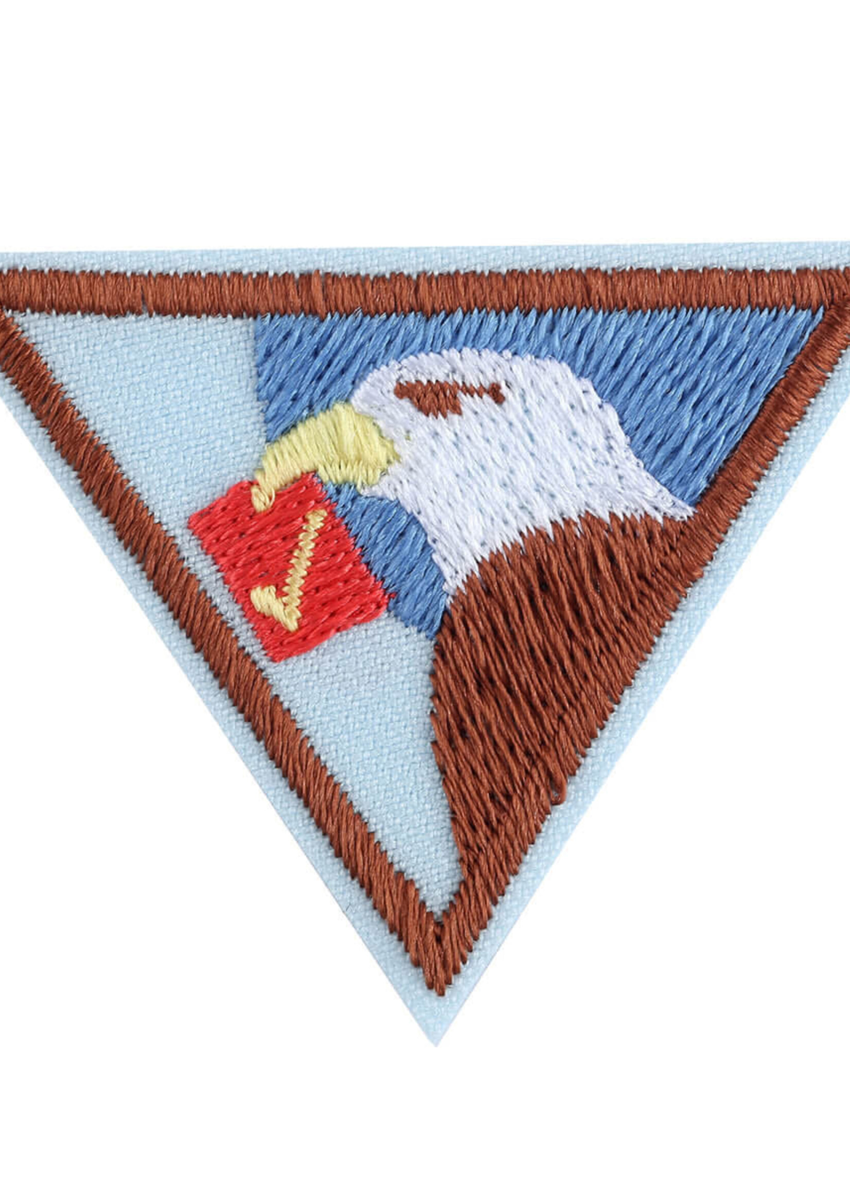 Brownie Democracy Badge