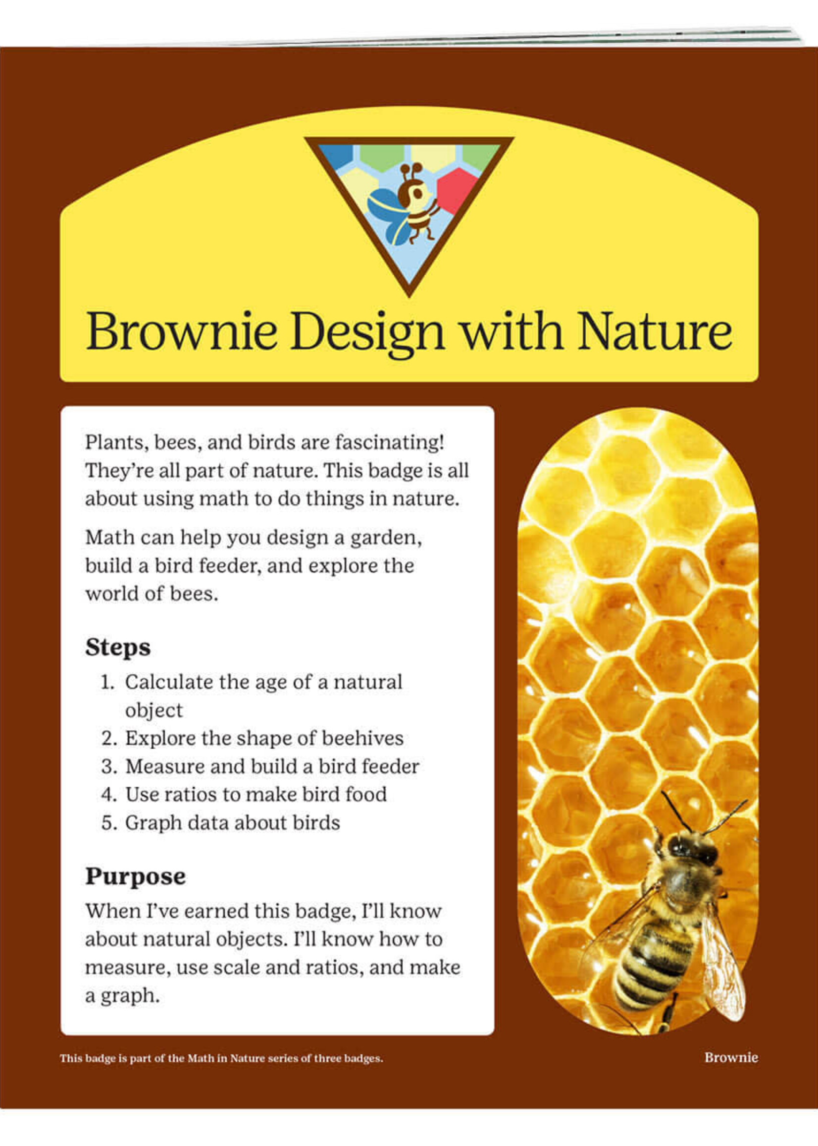 Brownie Design with Nature Badge Requirements