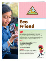 Brownie Eco Friendly Badge Requirements