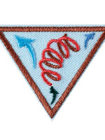 Brownie Leap Bot Challenge Badge