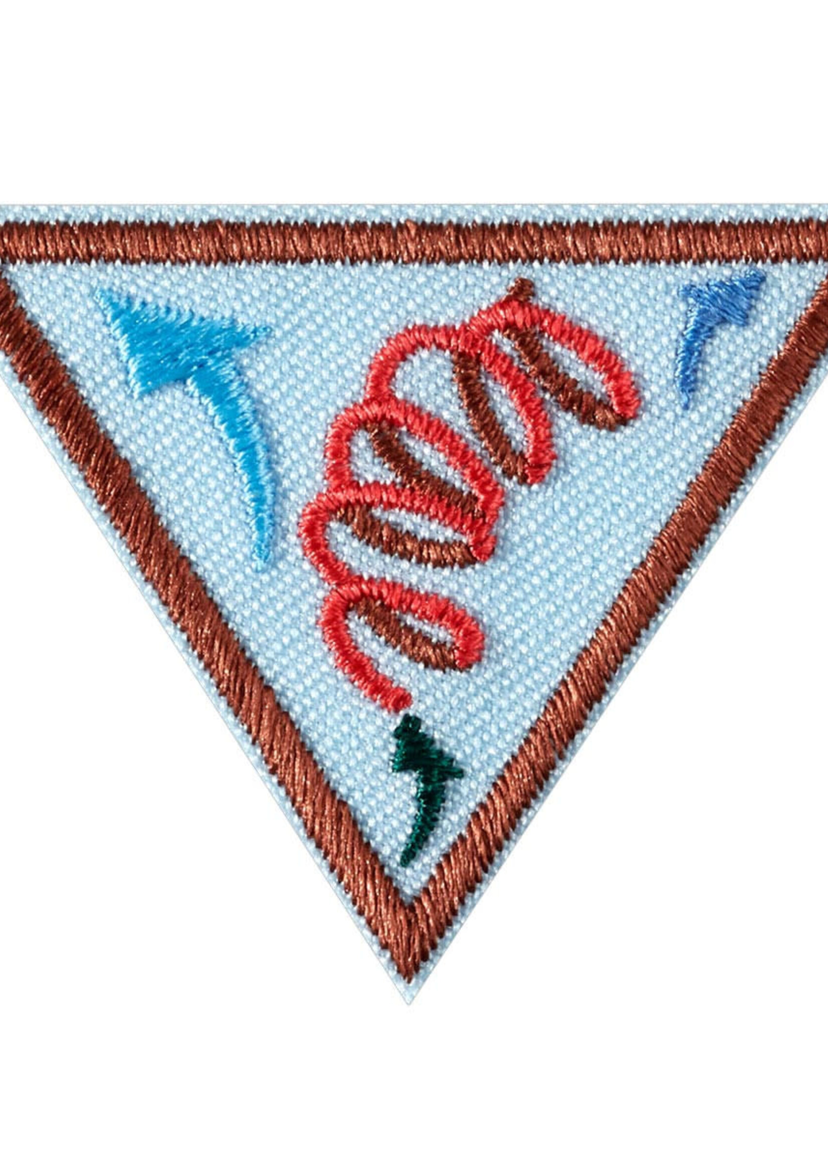 Brownie Leap Bot Challenge Badge