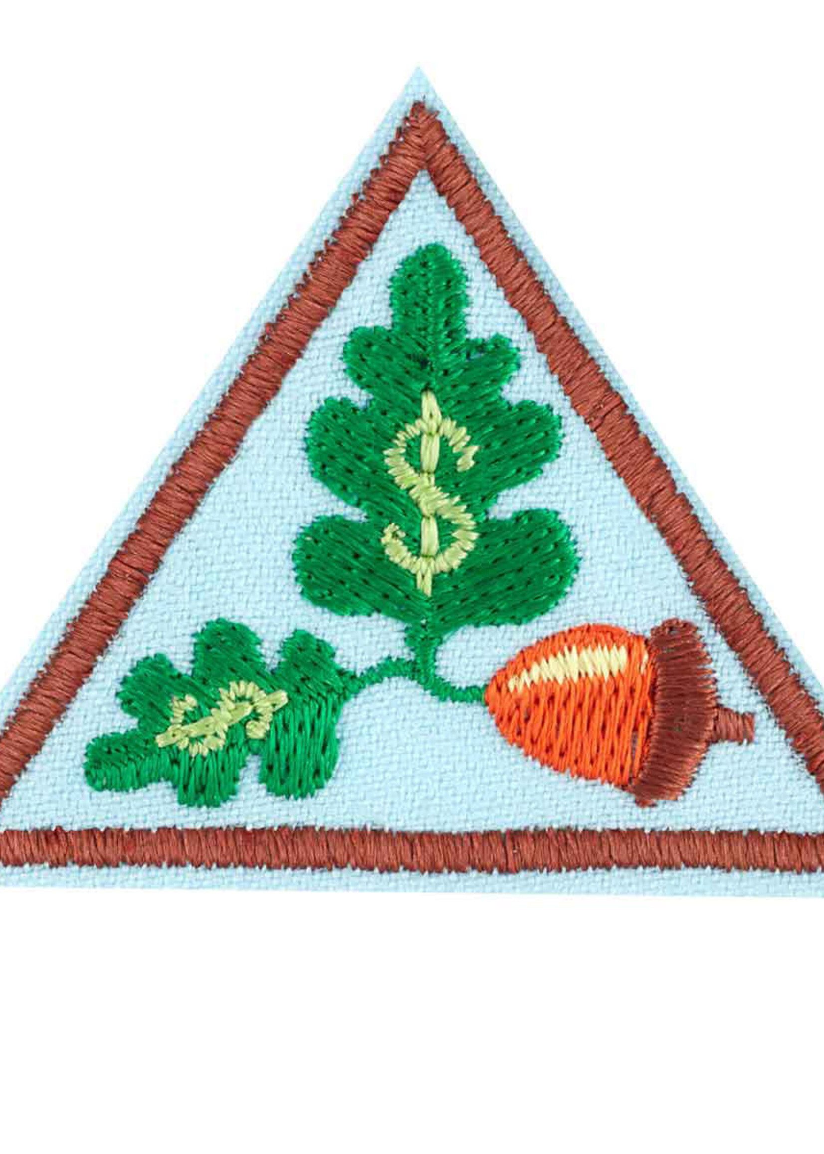 Brownie My Own Budget Badge