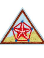 Brownie Numbers in Nature Badge