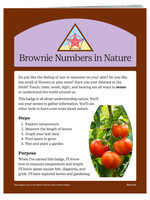 Brownie Numbers in Nature Badge Requirements