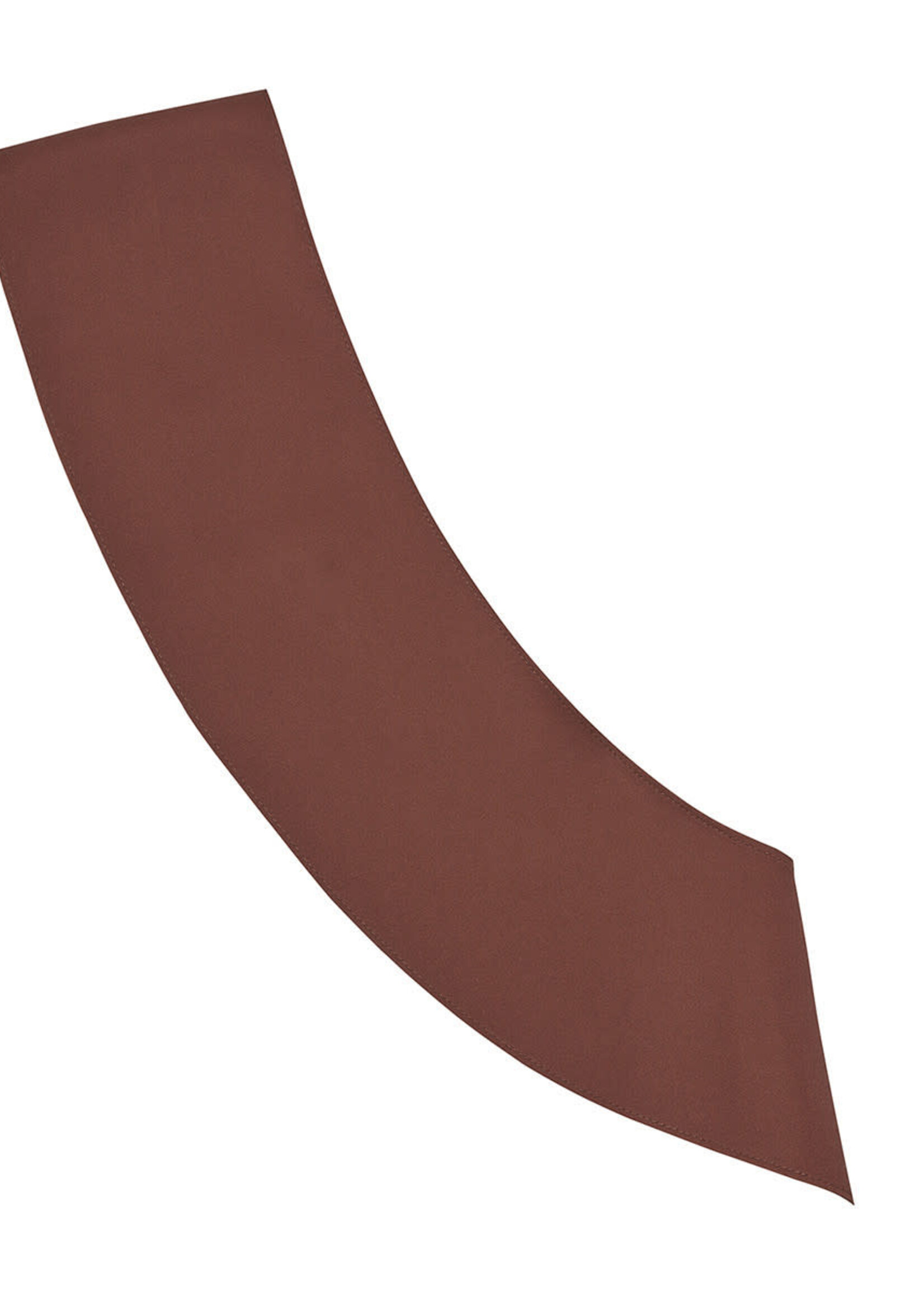 Brownie Sash Size XLong