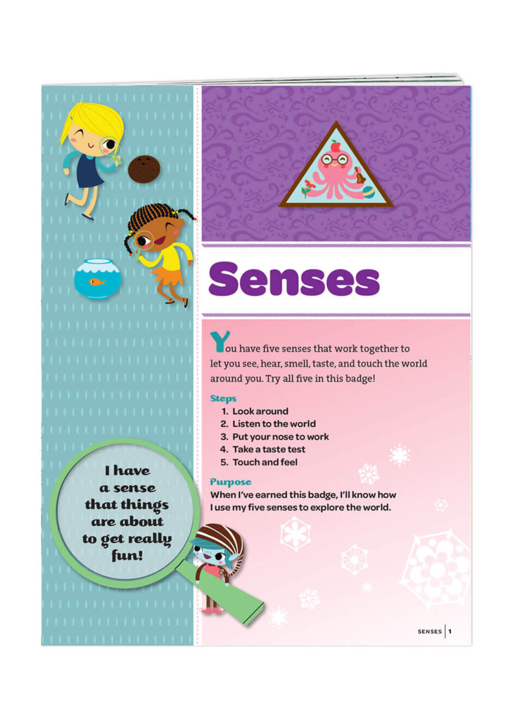 Brownie Senses Badge Requirements