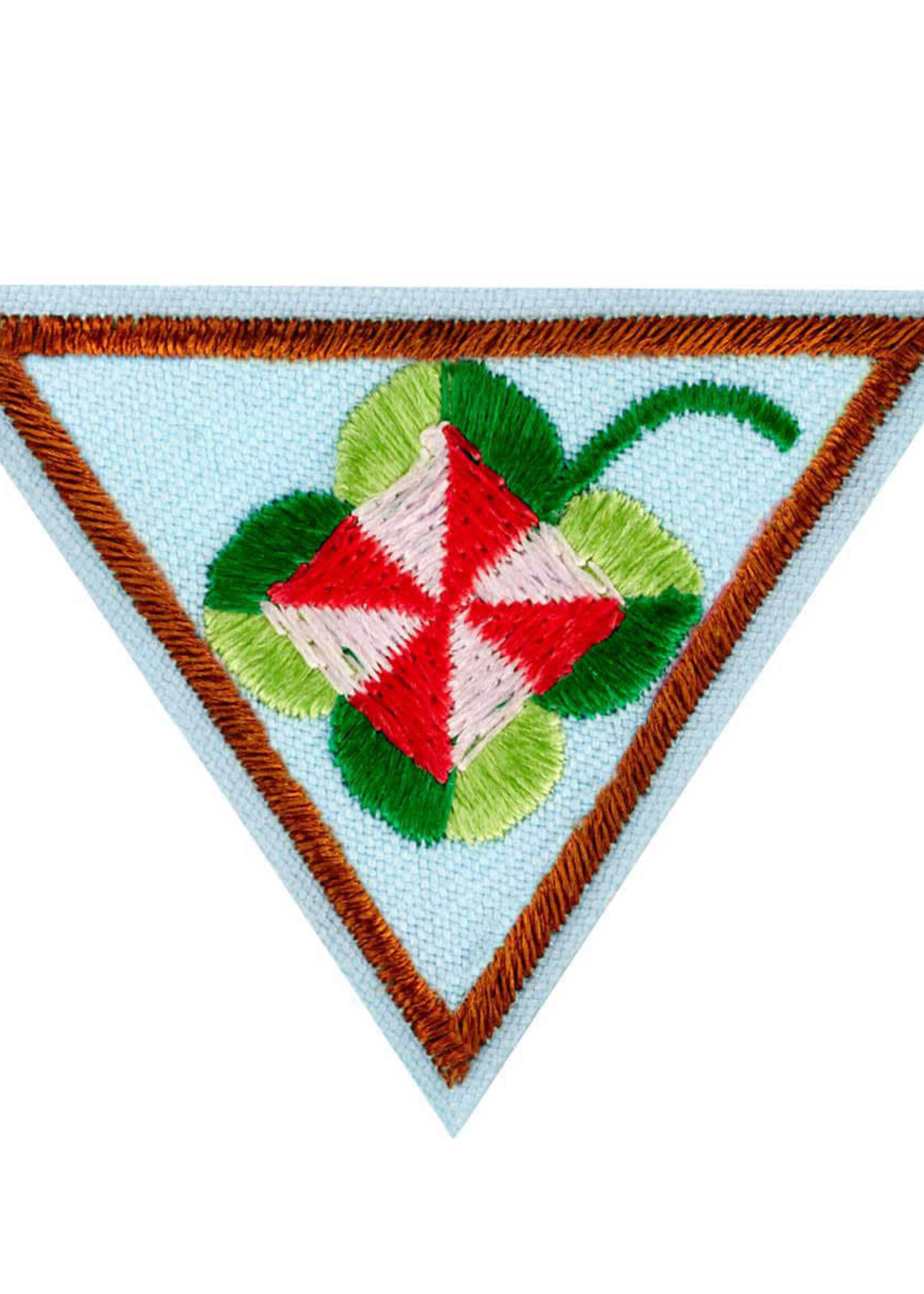 Brownie Shapes in Nature Badge
