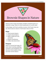 Brownie Shapes in Nature Badge Requirements