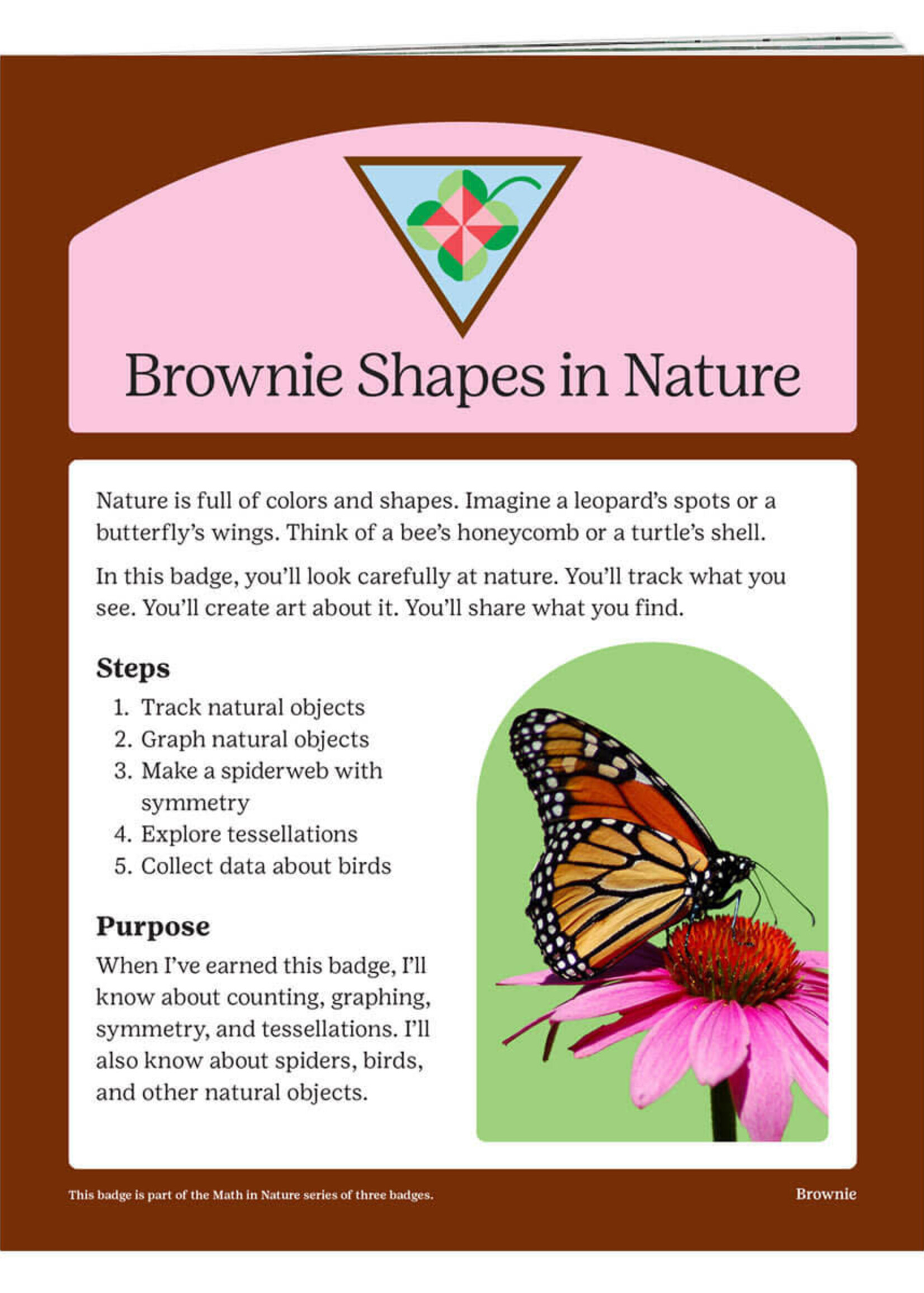 Brownie Shapes in Nature Badge Requirements