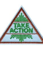 Brownie Take Action Award