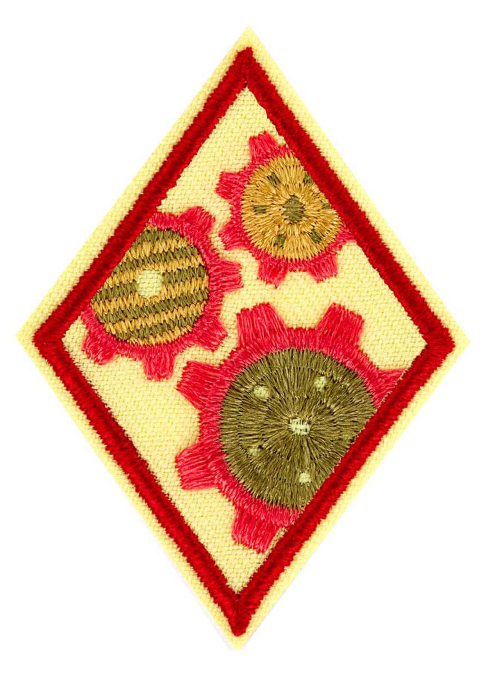 Cadette Cookie Innovator Badge