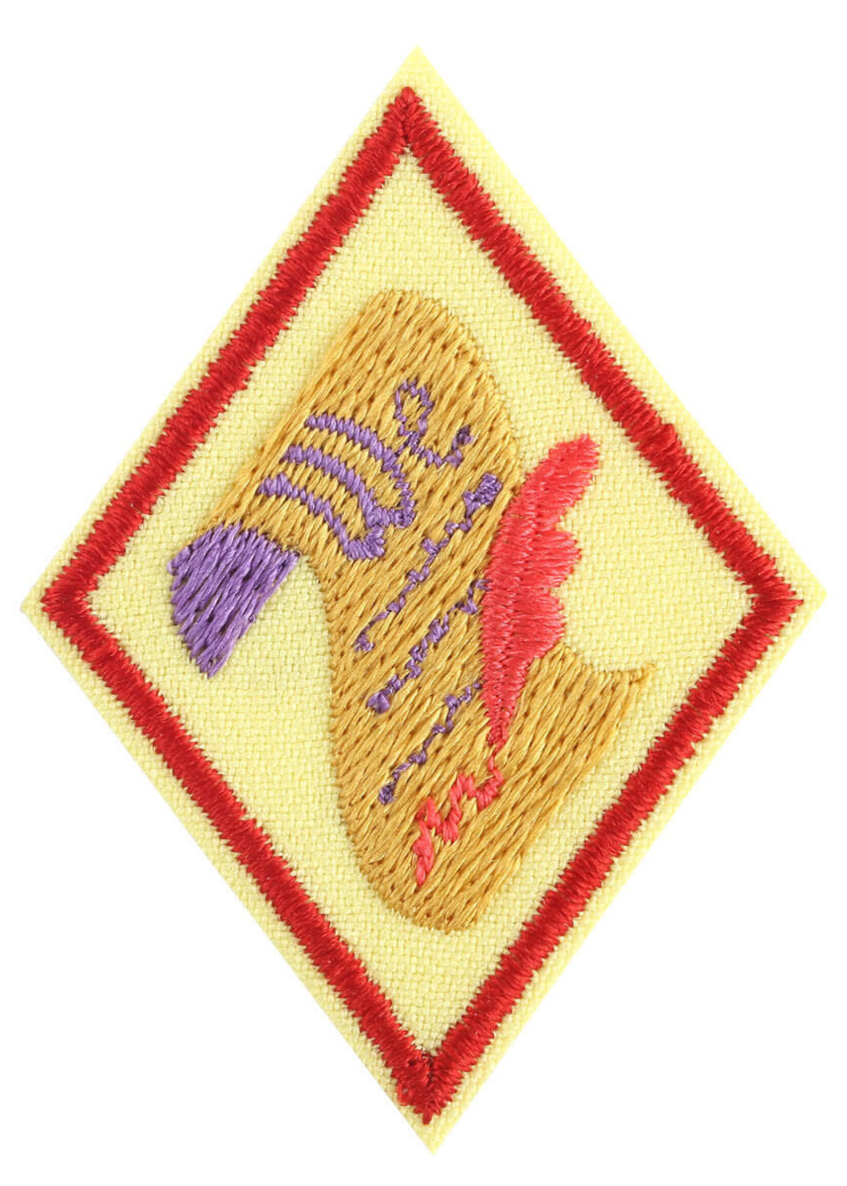 Cadette Democracy Badge