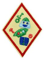 Cadette Designing Robots 2