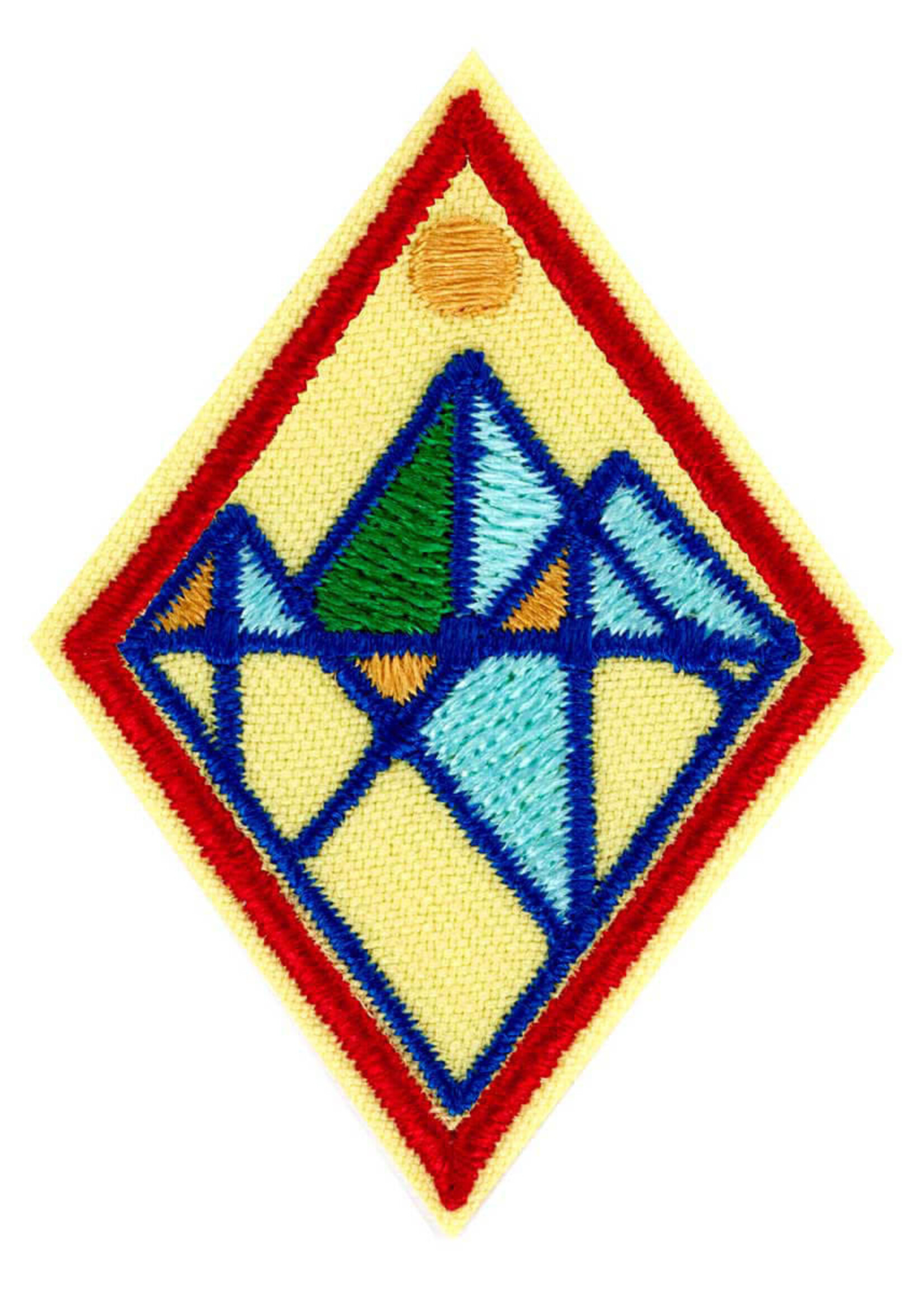 Cadette Digital Leadership Badge