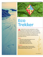 Cadette Eco Trekk  Badge Requirements