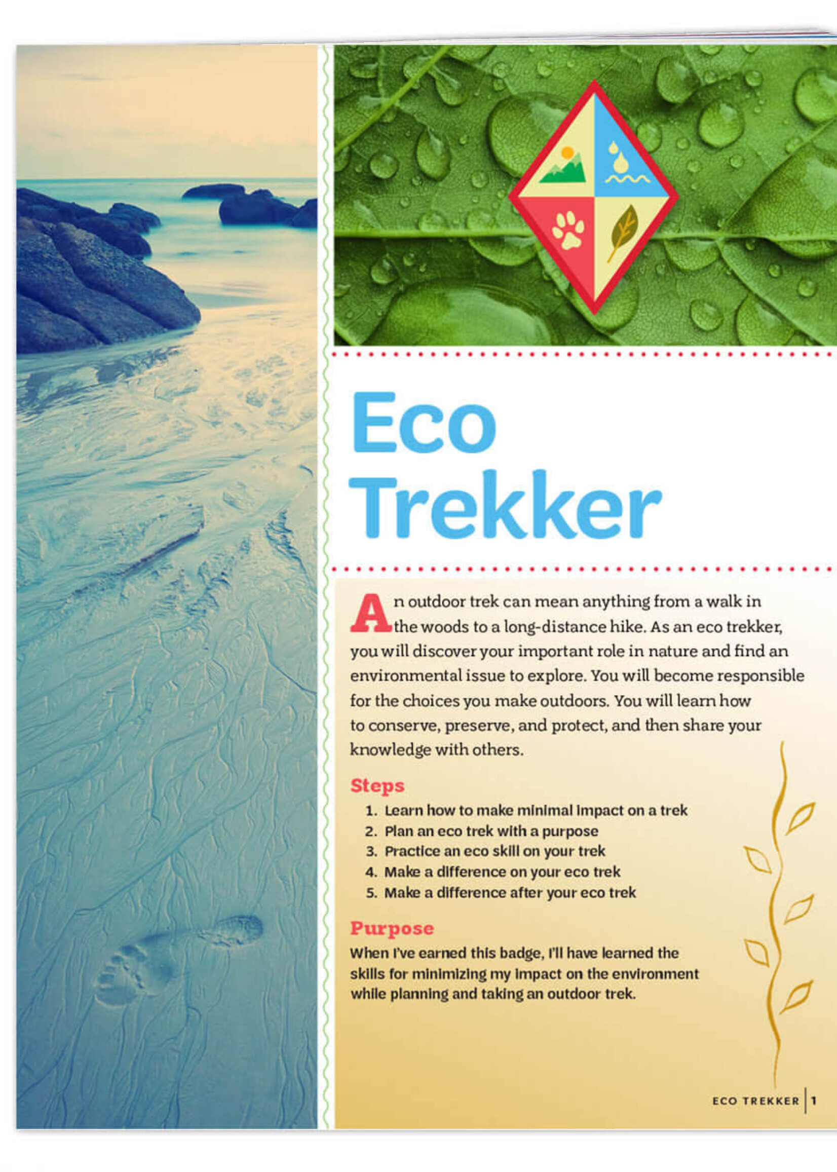 Cadette Eco Trekk  Badge Requirements