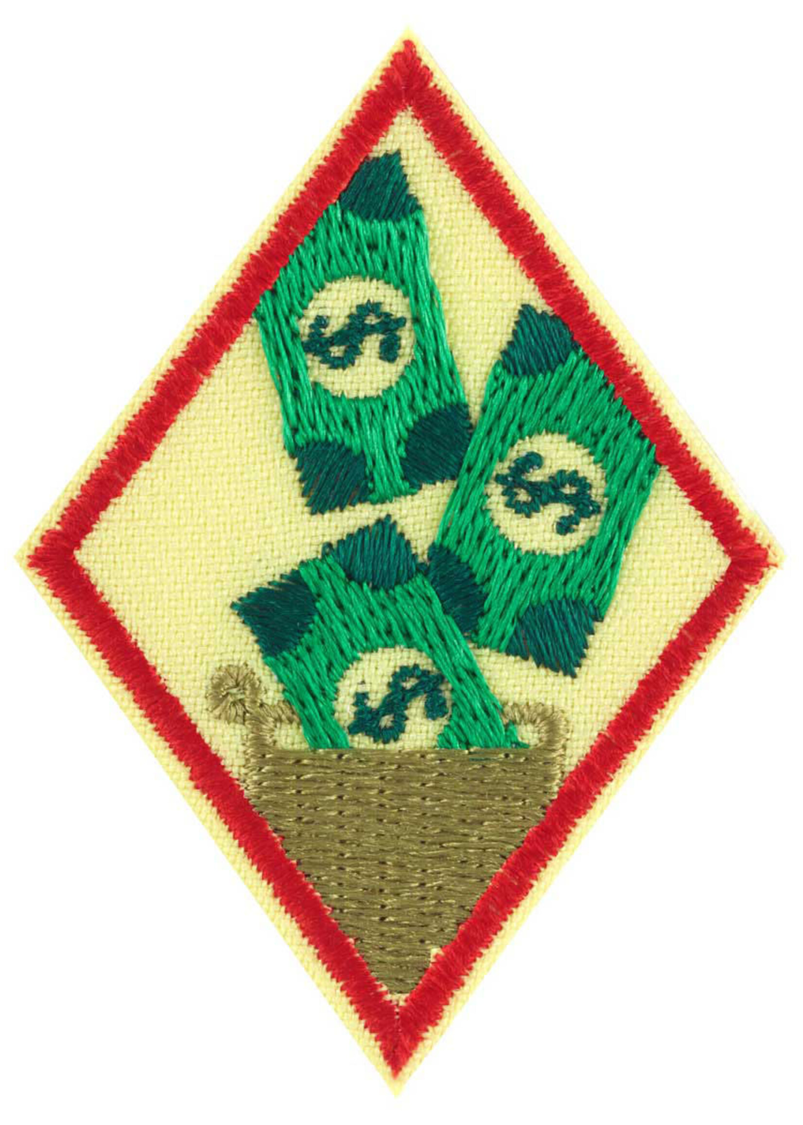 Cadette My Money Habits Badge